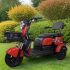 Электротрицикл E-TRIKE MINYON 2+1 NEW 2024